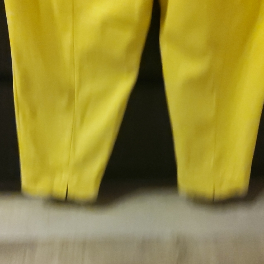 Talbots Yellow Pants - Picture 3 of 5